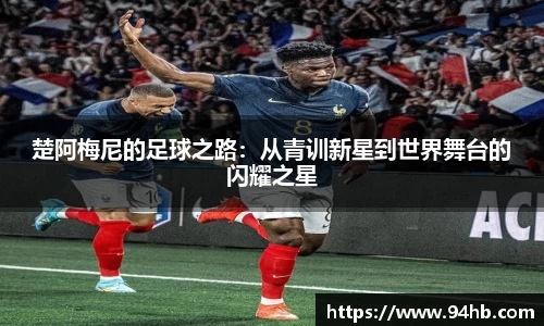 zoty中欧官方网站